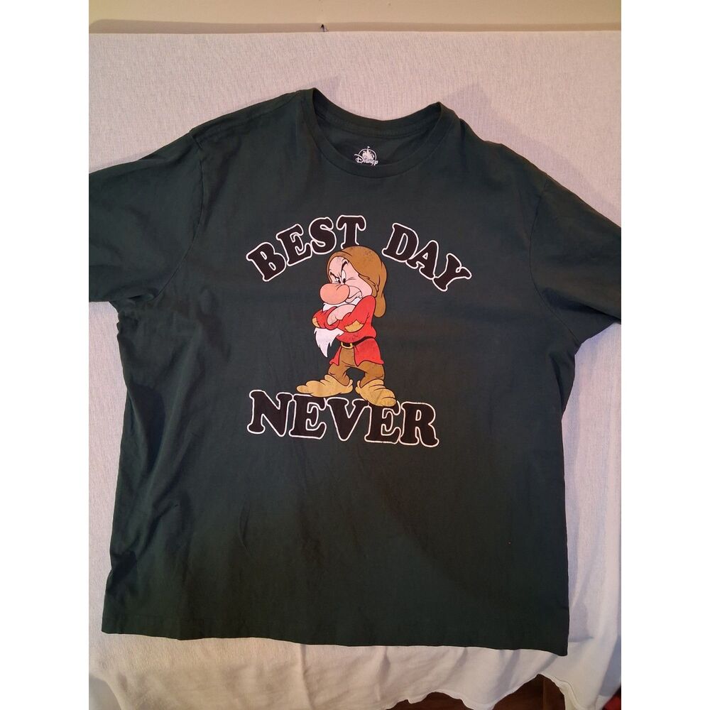 Disney Parks Grumpy Best Day Never T Shirt 2XL Green Graphic Snow White Dwarf